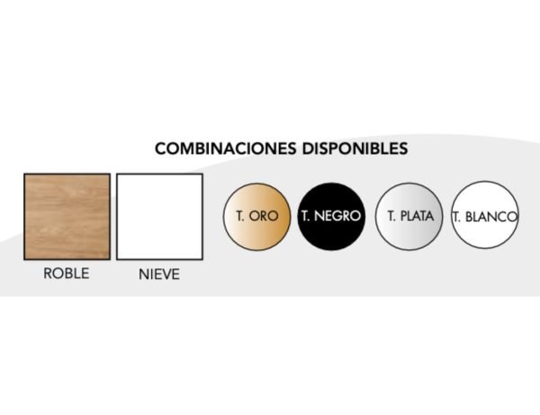 Composición modelo T1 - Imagen 2